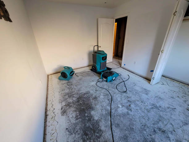 Professional Water damage restoration in East Syracuse, NY