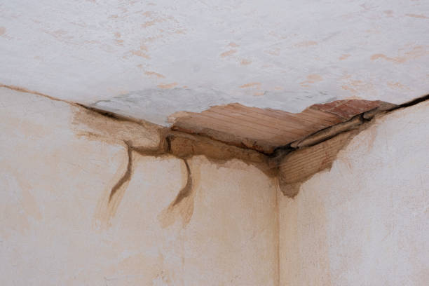 Best Mold removal after water damage  in East Syracuse, NY