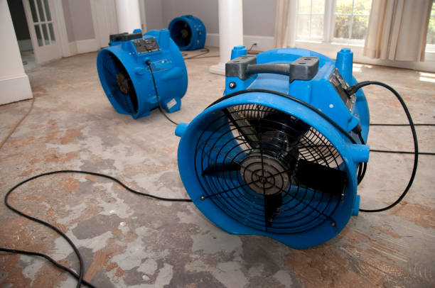 Best Water damage restoration near me  in East Syracuse, NY