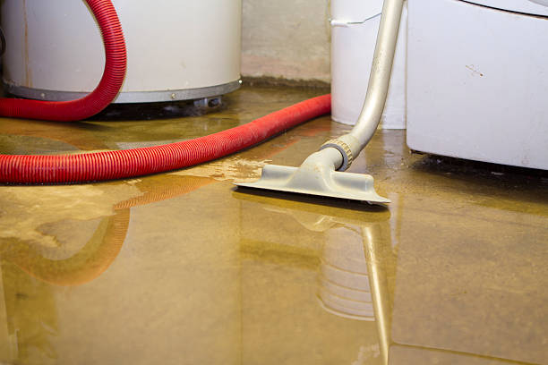 Best 24-hour water damage restoration  in East Syracuse, NY
