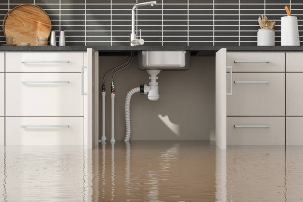 Best Water damage restoration experts  in East Syracuse, NY