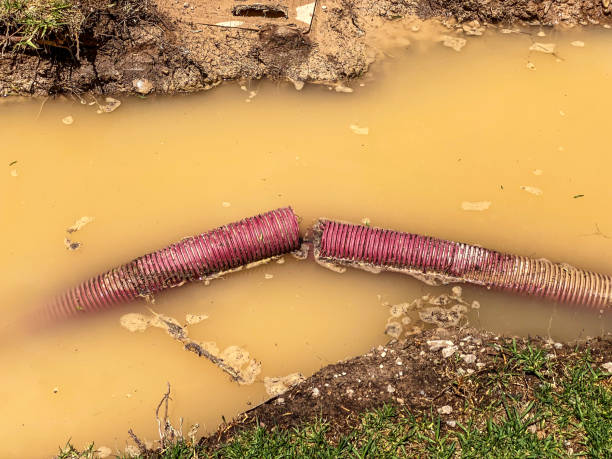 Best 24/7 water damage repair  in East Syracuse, NY